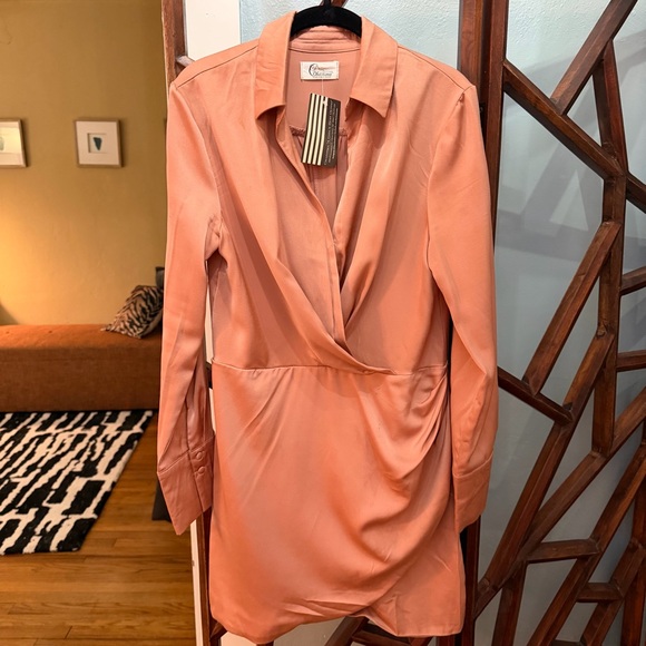 other Dresses & Skirts - Long Sleeve Silk Dress - NWT